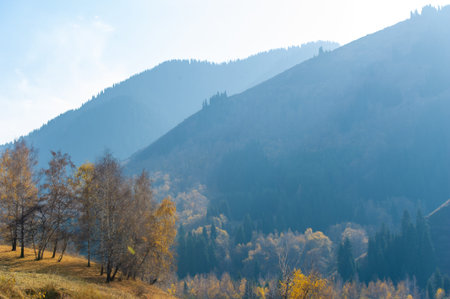 Feel the beauty of the majestic Tien Shan spruce and birch trees in autumn. Immerse yourself in the...