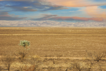Steppe, prairie, plain, Nature's exquisite masterpiece reveals itself as the scorching sun descends beneath the endless dunes, leaving behind a breathtaking spectacle of warm hues. Sunset Serenityの写真素材