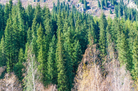 Experience the vibrant colors of autumn in the Tien Shan Range. Immerse yourself in nature's...