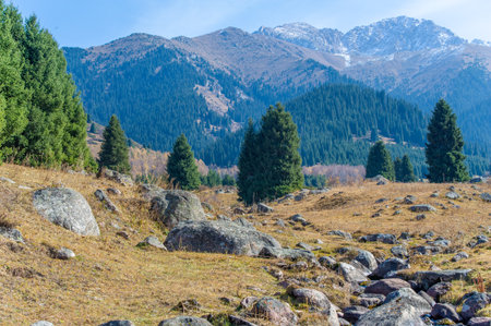 Feel the tranquility of the Tien Shan mountain range. Explore the breathtaking beauty of nature in the heart of lush green forests. Enjoy the tranquility of an untouched river,の写真素材