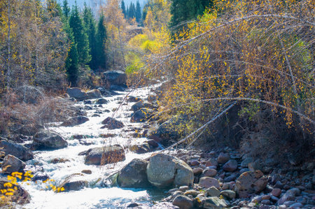 Immerse yourself in the tranquility of nature's symphony. Immerse yourself in the beauty of autumn's...