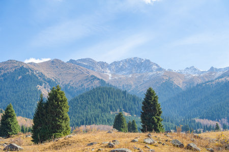 Experience the beauty of autumn in all its glory. Immerse yourself in the warm golden hues of the majestic peaks. Stroll through lush evergreen forests surrounded by nature's splendor.の写真素材