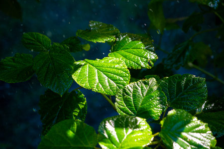 Experience the beauty of nature in its prime during the summer season Feel rejuvenated with the...