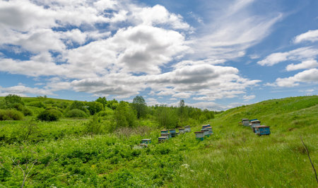Spring, fields, ravines, hills, rural landscape. A deep, narrow gorge with steep slopes. A naturally...