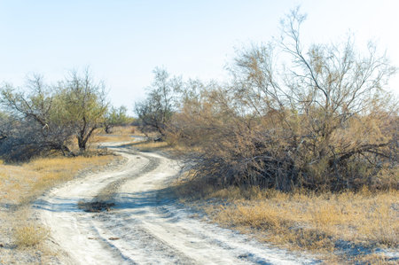 Enjoy the stunning beauty of autumn in the steppe. Take a scenic drive along dirt roads and admire breathtaking views. See the harmony between man and nature in this serene landscape.の写真素材