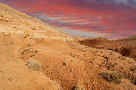 Experience the breathtaking beauty of the Red Boguty Mountains. Witness the mesmerizing dance of...