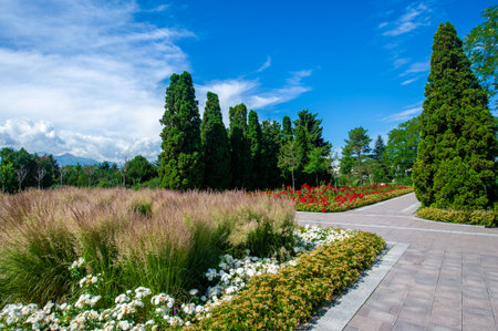 Immerse yourself in the enchanting beauty of this park, surrounded by a colorful tapestry of trees and flowers. Relax completely and connect with nature in its beauty. Nature escape.の写真素材