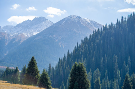 Enjoy the stunning beauty of the autumn Tien Shan mountains. Be enchanted by the colorful foliage and picturesque scenery. Immerse yourself in the magic of nature at this enchanting time of year.の写真素材