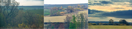 Experience the beauty of autumn with Golden Time Witness the vibrant colors of yellowed leaves Enjoy...