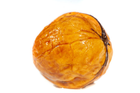Walnut. Walnuts are the only liquid that tastes good hot or cold.