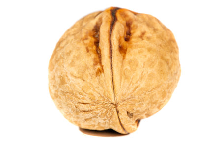 Walnut.