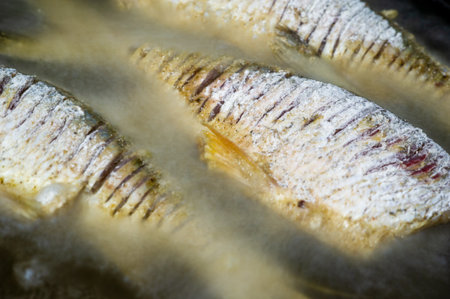 The fish is ready to eat. These are aquatic cold-blooded vertebrates that live both in the sea and in fresh water. Many types of edible fish are excellent sources of nutrients.の写真素材