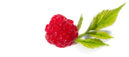 Raspberry. In late summer, native raspberries make their way from the fields to your refrigerator in...