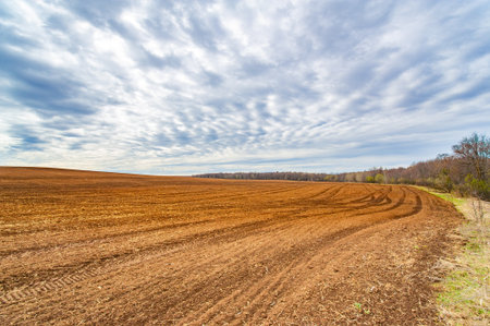 Preparing the soil for a successful harvest. Cultivation of the field to create fertile land. Sowing the seeds of future growth and success.の写真素材