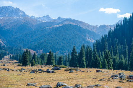 Immerse yourself in the serenity of the Tien Shan mountains. Experience the charm of fall foliage and vibrant colors. Take a leisurely stroll among the lush green pine trees. Enjoy the tranquilityの写真素材