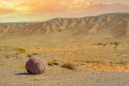 Red Mountains of Boguty. Lone survivor in the scorching desert! This tenacious stone has mastered the art of blending with its surroundings and has become a true symbol of the desert! RockingIn Desertの写真素材