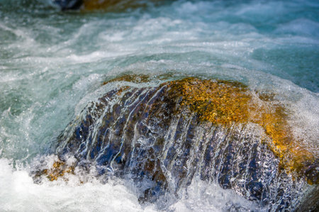 Immerse yourself in nature's symphony with this serene mountain stream. Experience the mesmerizing...