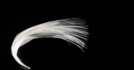 A white feather on a black background. The contrast of light and dark creates a striking visual effect. Symbolizes purity, peace and protection. Stands out against a black backgroundの写真素材