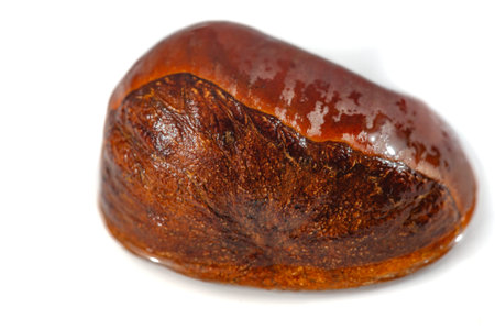 Explore the essence of simplicity with this breathtaking close-up of a chestnut, showing the beauty...