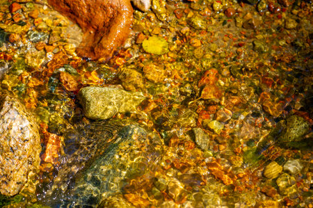 Experience the pristine wilderness of a mountain stream. Witness the rhythmic dance of water and admire its beauty. Explore the intricate details of each rock in the stream.の写真素材