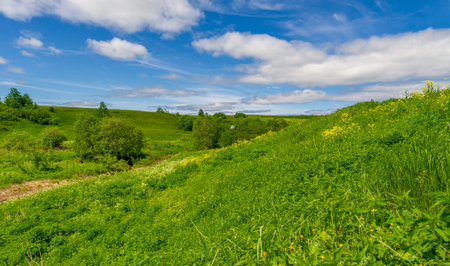 Spring, fields, ravines, hills, rural landscape. A deep, narrow gorge with steep slopes. A naturally...