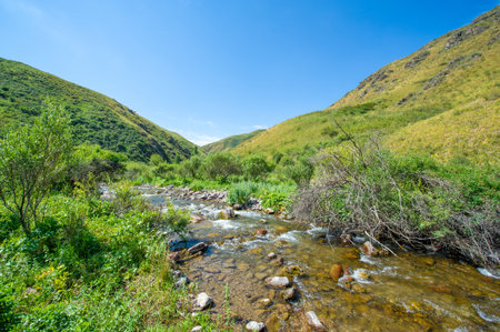 the serene flow of the river through the majestic canyon. the natural beauty of the mountains around you. Experience the awesome-inspiring power and serenity of nature in all its glory.の写真素材