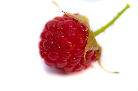 Raspberry is juicy and perfect for your most fruity mood. Give some joy to your table. Surprisingly sweet, these berries will lift your spirits with an explosive flavor.の写真素材