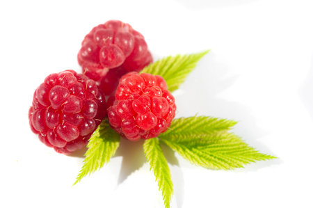 Raspberry. In late summer, native raspberries make their way from the fields to your refrigerator in...