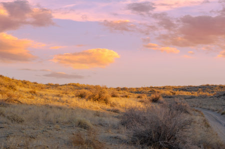 Autumn. Steppe. Sunset. The Dunes: Let your worries melt away as you gaze at the mesmerizing desert horizon. Experience the magic of wandering through this golden oasis.の写真素材