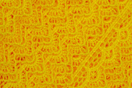 Add pops of color to any outfit with a yellow lace ribbon. Easily trim clothes to create an interesting and unique look. Made from high quality materials for strength and durability.の写真素材