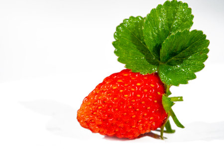Fresh strawberries on a white background Full of vitamins and juicy flavor Ideal for adding color and nutrition to your dishes An irresistible fruit that's sure to brighten up any mealの写真素材