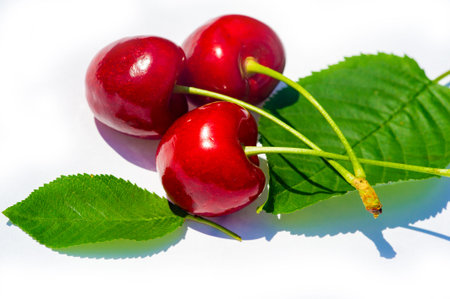 Fresh and juicy cherries are full of vitamins and antioxidants. An ideal snack for a healthy...