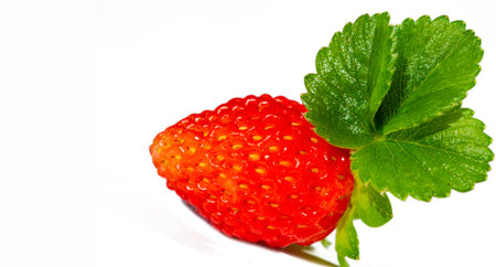 Fresh and juicy strawberries. Rich in vitamin C. Ideal for snacking or adding to salads and desserts. The bright red color on a white background is visually appealing.の写真素材