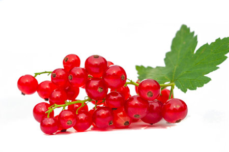 Stunning close-up photo of red currents. A beautiful shallow depth of field captures the essence of the fruit. The bright red color of the currents stands out in the image.の写真素材