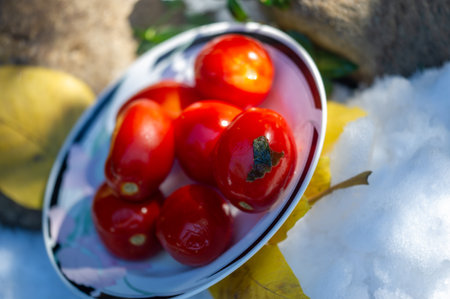 Juicy and refreshing tomatoes are perfect for snacking Packed with vitamins and nutrients for a healthy diet. Ideal for vegetarian dishes or salads. Salted tomatoes will add a unique taste to any dishの写真素材