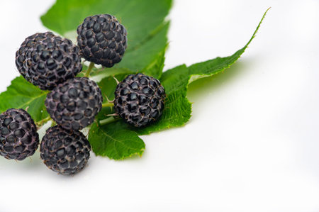 Rich in vitamins and antioxidants. Ideal for a healthy snack or dessert. Ideal for vegetarians who...