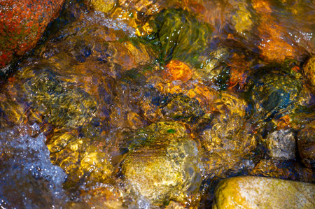 water in a mountain stream. Feel the tranquility of a mountain stream. Immerse yourself in the...