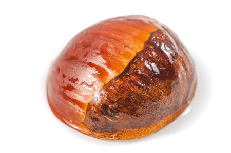 Ashnut is captured in stunning detail against a white background. Exudes rustic charm and natural...