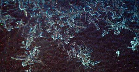 Diffuse. Frosty patterns on the paintwork. Art is the impression of pattern upon experience, and our...