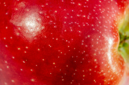 Fresh and juicy red apple on a clean white background. A natural source of essential vitamins. Ripe and ready to eat as a healthy snack.の写真素材