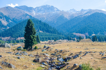 Enjoy the stunning beauty of the autumn Tien Shan mountains. Be enchanted by the colorful foliage...
