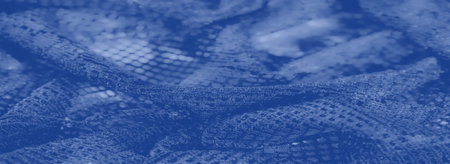 Blur of delicate blue lace with ornate patterns, featuring a flowing and artistic aesthetic...