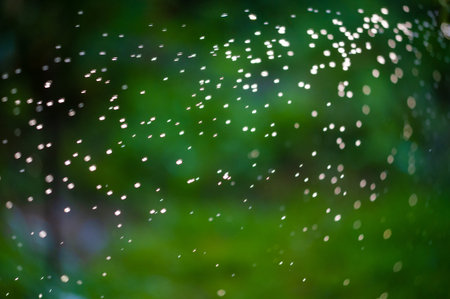 Raindrops blurry Enjoy the beauty of nature in the summer season. Enjoy the refreshing feeling of rain on green leaves. Connect with the natural world and feel rejuvenated.の写真素材
