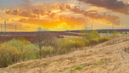 Witness the stunning beauty of nature's colors during sunset. Enjoy the peaceful and serene atmosphere as the day comes to an end. Take photos of the golden light falling onto the plowed field.の写真素材