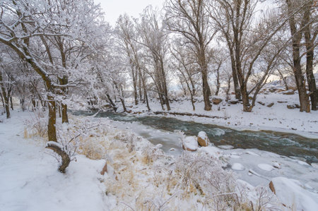 The river freezes in winter. My favorite part of winter with our local river is how the mist rolls...