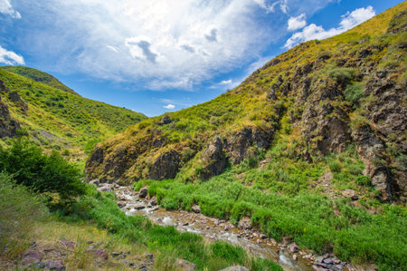 Enjoy the serene beauty of natural landscapes. See how the river gracefully flows through the rocky canyon. Immerse yourself in the heart of majestic mountain landscapes.の写真素材