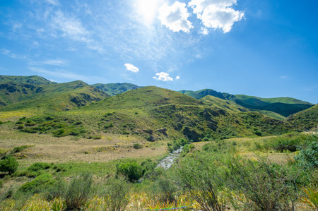 Experience the river's calm flow through a majestic canyon. Immerse yourself in the natural beauty...