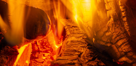 Fire in the fireplace. In the warm light of a campfire, our pupils naturally dilate.