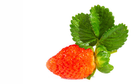 Bright and juicy strawberries on a white background. Rich in vitamins and antioxidants. An ideal addition to any healthy diet.の写真素材