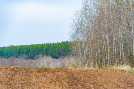 Experience the beauty and rejuvenation of nature during the Caring Earth harvest season. Explore the...